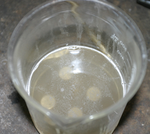 Annealing